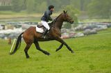 horse and rider running 3
